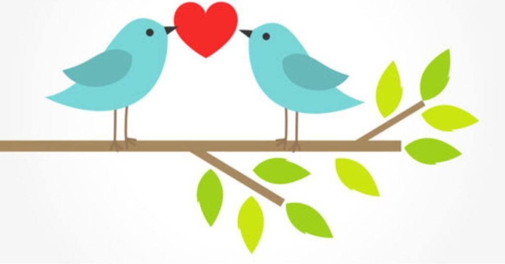 Bird Pun Ideas to Lighten Up Your Messages