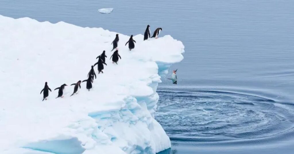Glacier Goals: Icy Ambitions for Every Season
