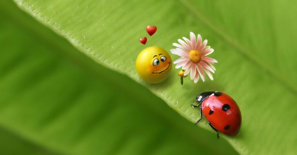 Ladybug Puns for Every Mood
