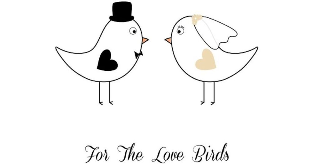 The Ultimate Collection of Hilarious Bird Puns