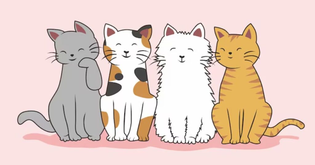 Unique Feline Personalities and Their Fun Names